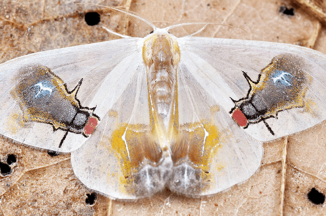 screen-shot-2014-09-26-at-10-59-22-am